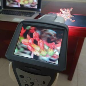Máy soi cổ tử cung Model - YKD-3003